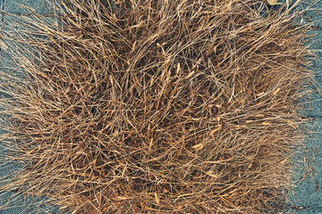 Dry grass heap