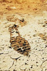 Shoeprint or foot print on mudcrack surface