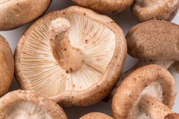 Shiitake mushrooms on the white background.