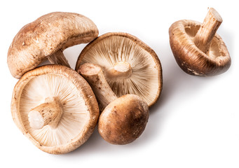 Shiitake mushrooms on the white background.