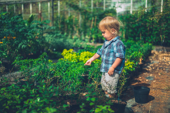 Little toddler doing some gardening