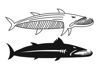Barracuda fish for your design