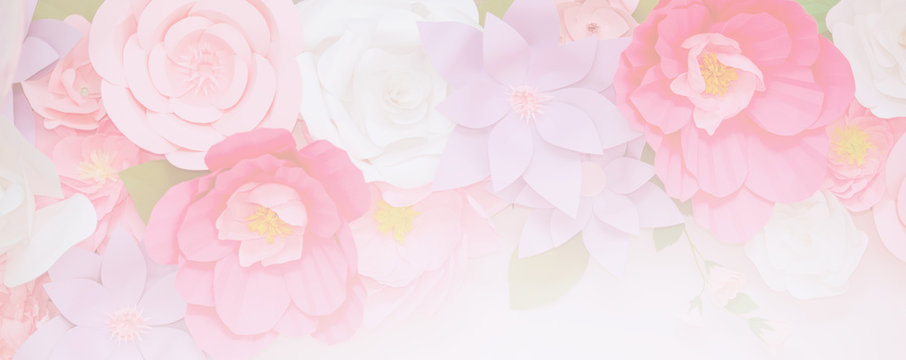 Fototapeta Light pink flowers in soft color for landing page background