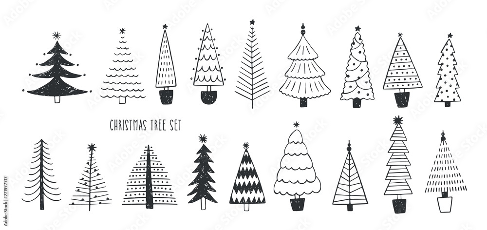 Poster collection of various firs, pines or spruces drawn with contour lines. bundle of winter coniferous f