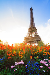Beautiful spring sunset view of the Eiffel tower with flowers in the park in Paris, France