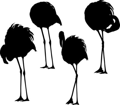 set of four flamingo black silhouettes on white