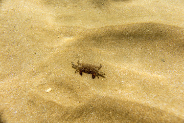 seabed, underwater photography