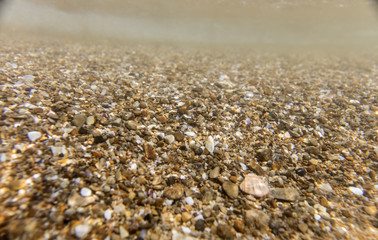 seabed, underwater photography