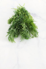 Bunch of fresh dill on white marble, copy space