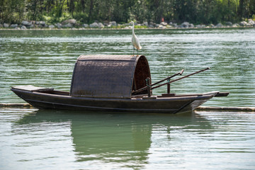 Little egret on a chinese traditional fishing boat on a lake