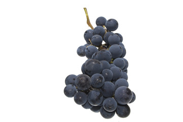 grapes isolated on white background