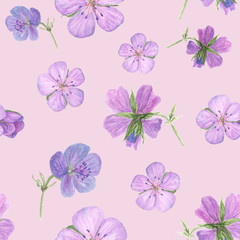 Watercolor floral seamless pattern with Forest geranium flowers on white background. Could be used as decoration for web design, polygraphy or textile