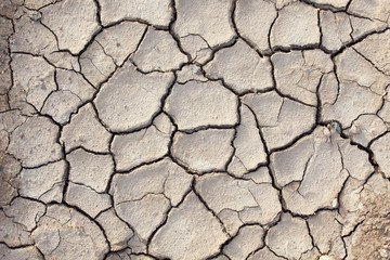 landscape of cracked soil texture background