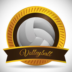 Volleyball icon design 