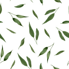 Seamless floral pattern with green leaves, hand drawn isolated on a white background