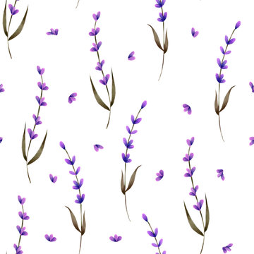 Seamless pattern with hand painted lavender flowers and petals on a white background