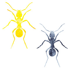 watercolor silhouette of an ant