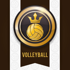 Volleyball icon design 