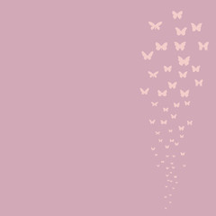  pink background with flying butterflies