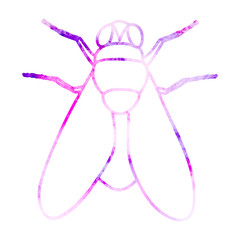 watercolor fly outline