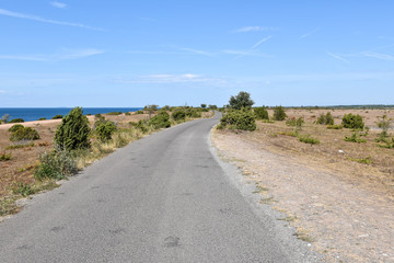 Road along the coast in a grassland
