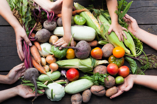 Farm organic nutrient concept, ripe raw vegetables.