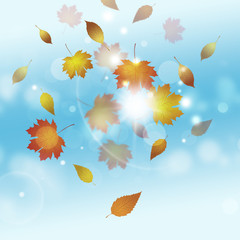 Fototapeta na wymiar Golden Autumn Background