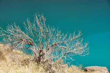 Naryn River