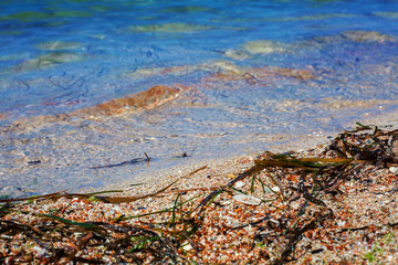 Ocean beach relax outdoor travel