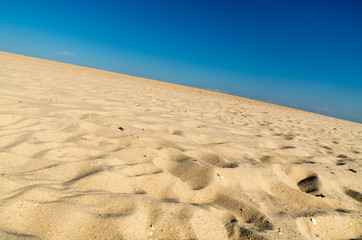 Beach, dunes, sand.