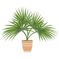 Основные RGB