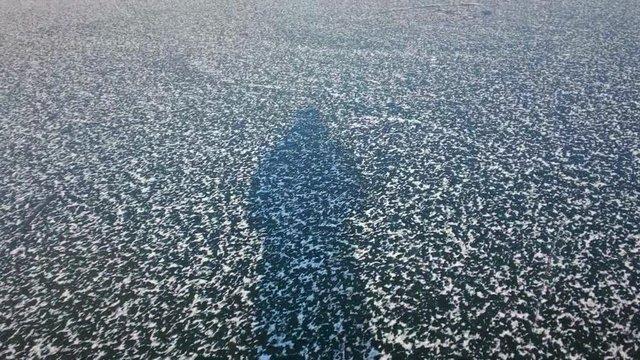 Shadow of a man Ice skating people on a frozen lake
