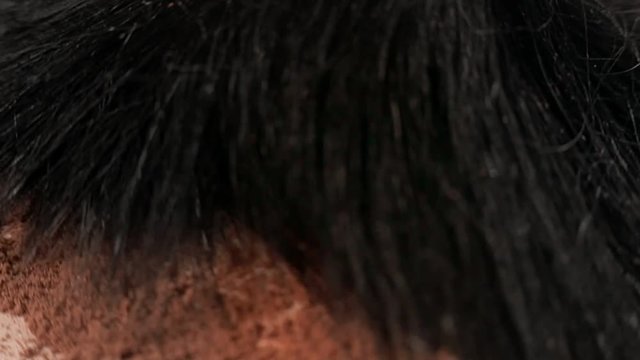 macro brush make-up artist with powder