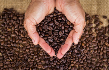 Coffee beans in hands on burlap background