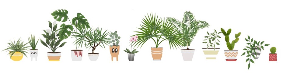 isolated objects indoor plants and flowers in different pots and planters. vector illustration in watercolor style.