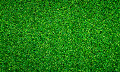 Green grass background