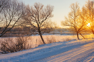 Obraz premium winter morning with snow and frost
