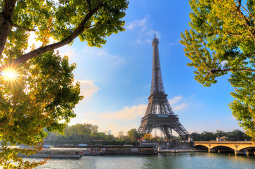 Fototapeta na wymiar Beautiful green spring leafs at the Eiffel tower in Paris, France 