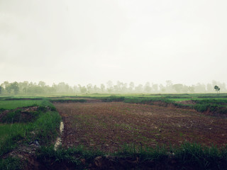 Fototapeta premium Beautiful rain season on the field landscape in Thailand.
