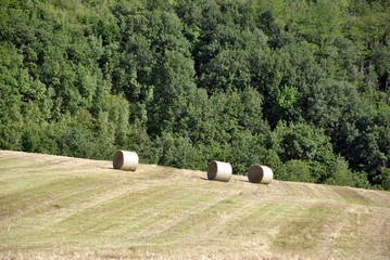 hay balls in a field