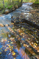 Autumn leaves which is located in the water into the brook