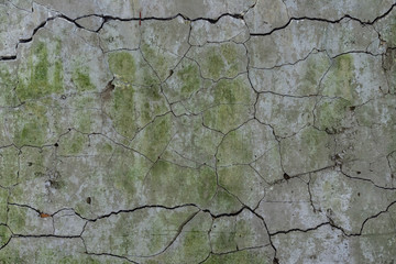 Obraz premium Texture of cracked concrete wall