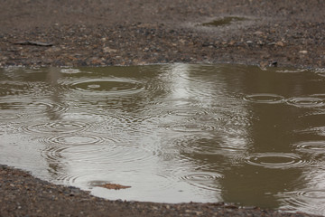 water puddles with raindrops and water circles
