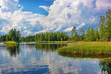 An island a lake. Suna river, Karelia - obrazy, fototapety, plakaty