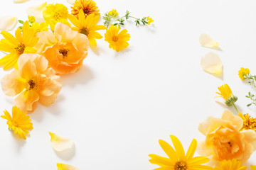 yellow flower background images