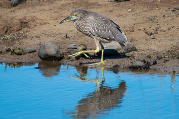 Testing the water
