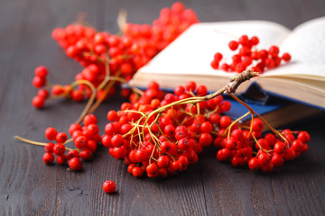 Rowan berries on vintage wooden boards