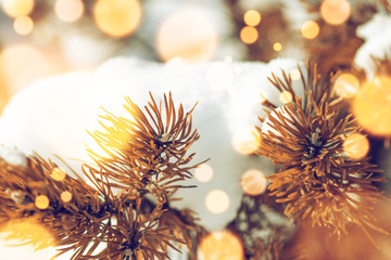 Christmas background. Snowy Pine branch with Magic glowing bokeh. Xmas time. Festive background on Christmas and New Year. Shining bokeh glowing golden lights.