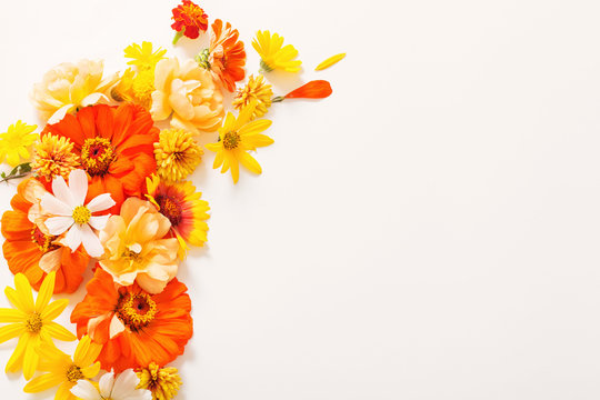 Yellow And Orange Flowers On White Background