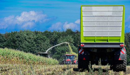 Maisernte, Landwirtschaftliche Tätigkeit zur Ernte Saison